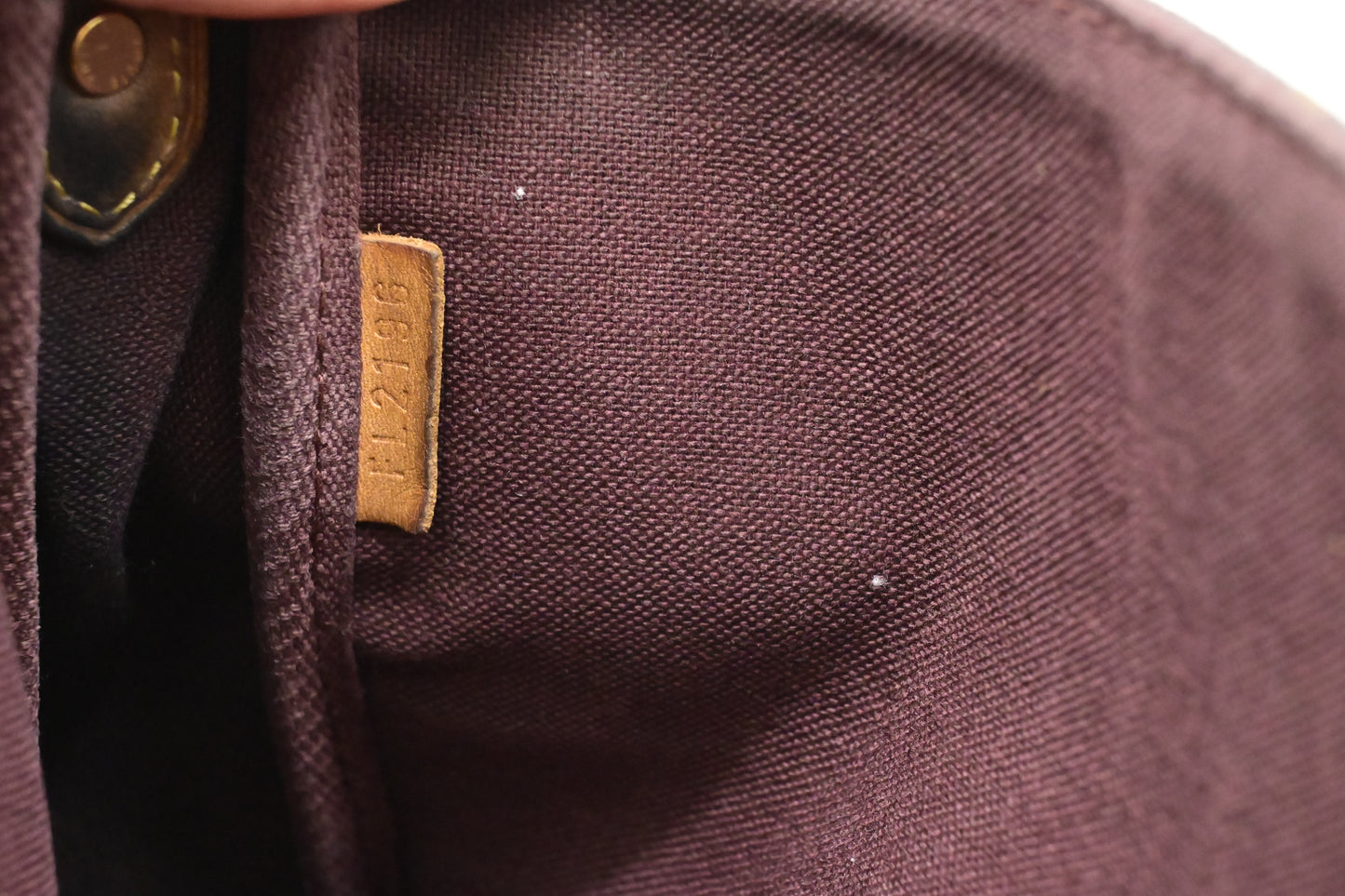 Louis Vuitton Favorite MM in Monogram Canvas