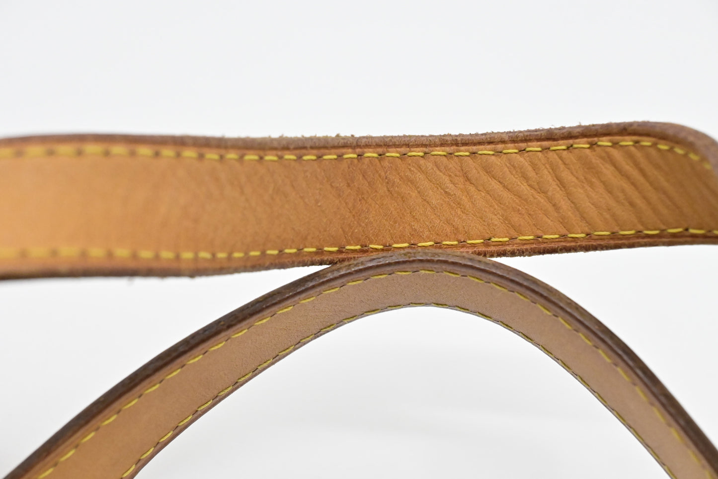 Louis Vuitton Palermo PM in Monogram Canvas