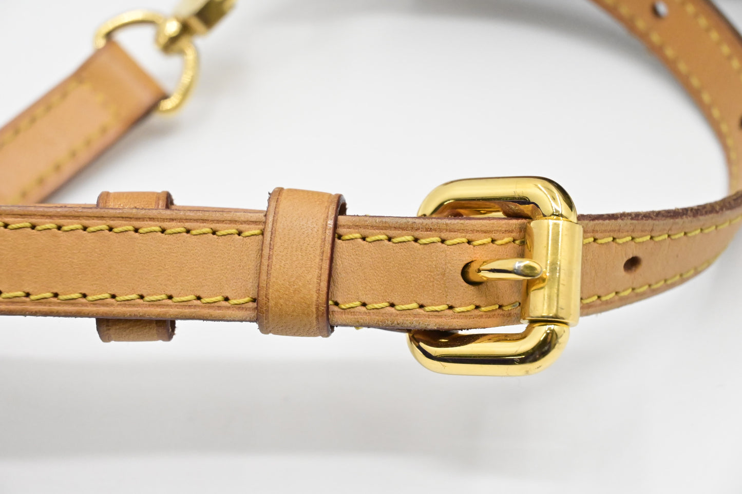 Louis Vuitton Palermo PM in Monogram Canvas