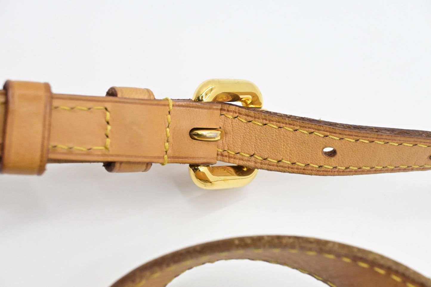 Louis Vuitton Palermo PM in Monogram Canvas