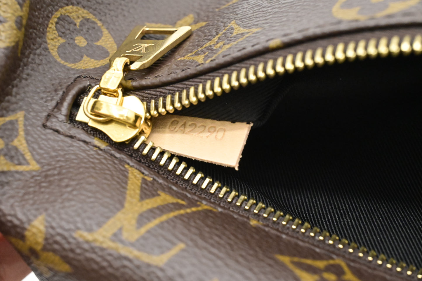 Louis Vuitton Bumbag in Monogram Canvas