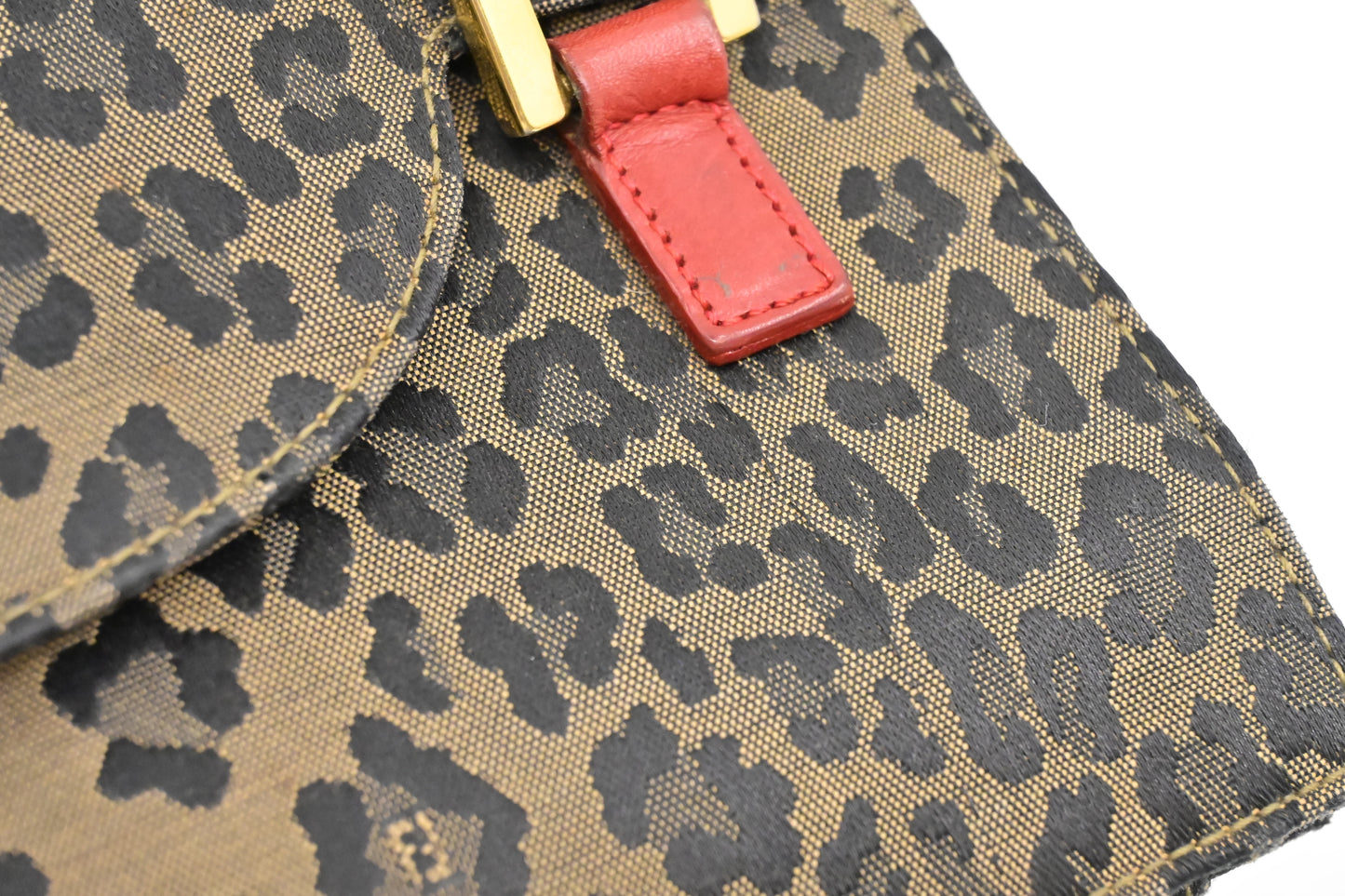 Fendi Handbag in Brown Leopard Canvas