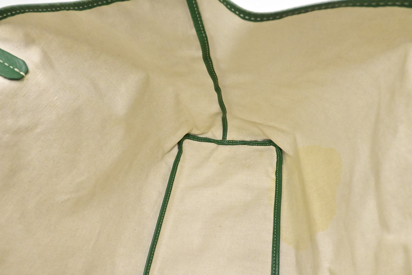 Goyard Saint Louis PM in Green Goyardine Canvas