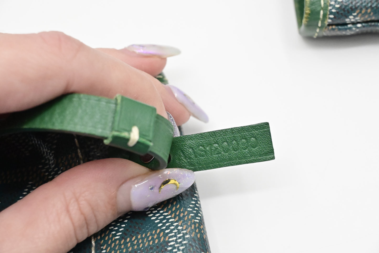 Goyard Saint Louis PM in Green Goyardine Canvas