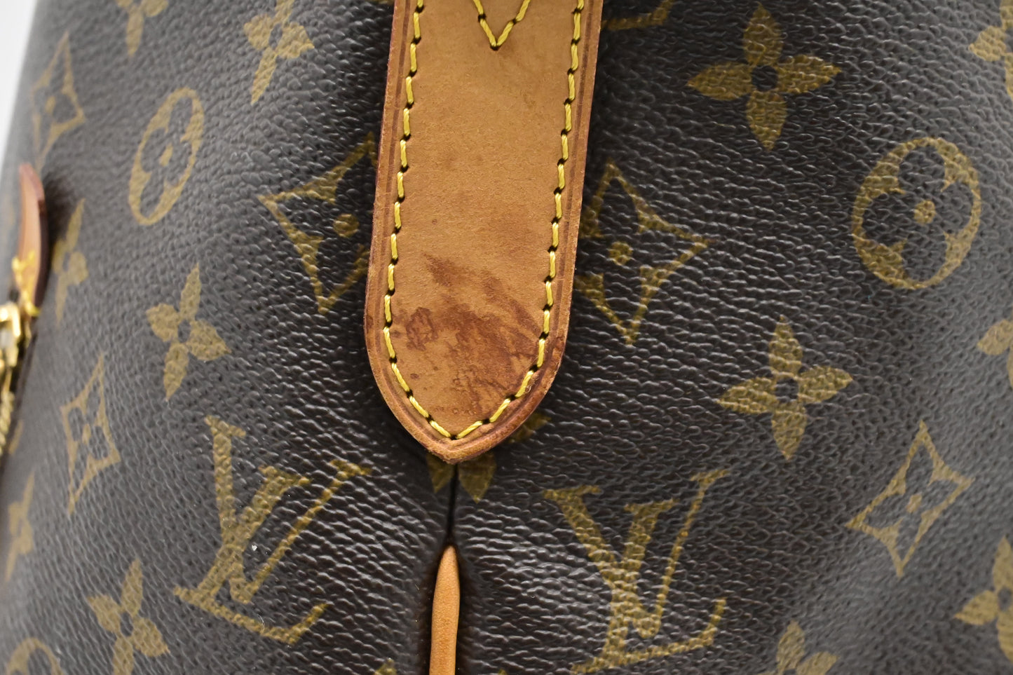 Louis Vuitton Delightful GM in Monogram Canvas