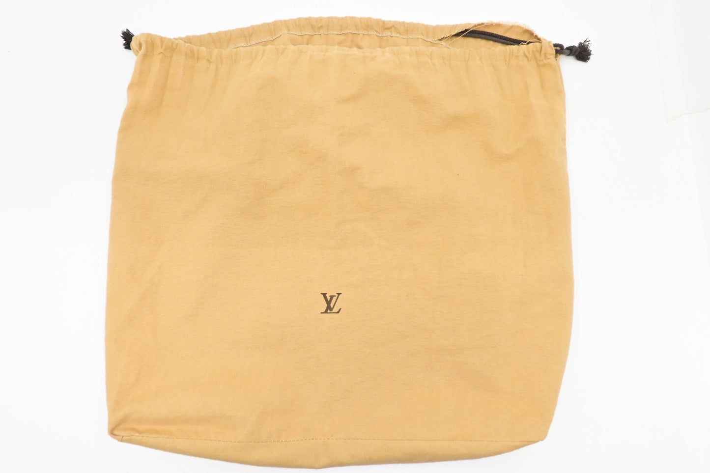 Louis Vuitton reporter GM in Monogram Canvas