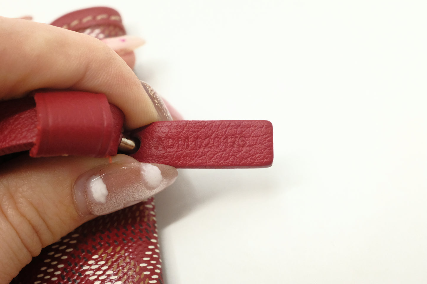 Goyard Saint Louis PM in Red Goyardine Canvas