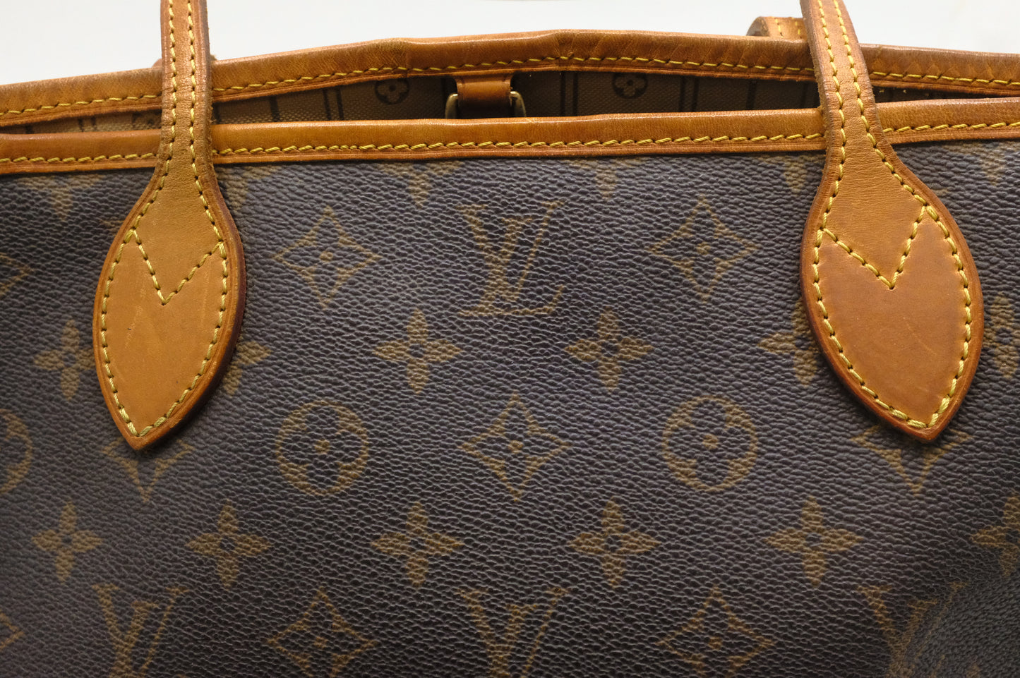 Louis Vuitton Neverfull PM in Monogram Canvas