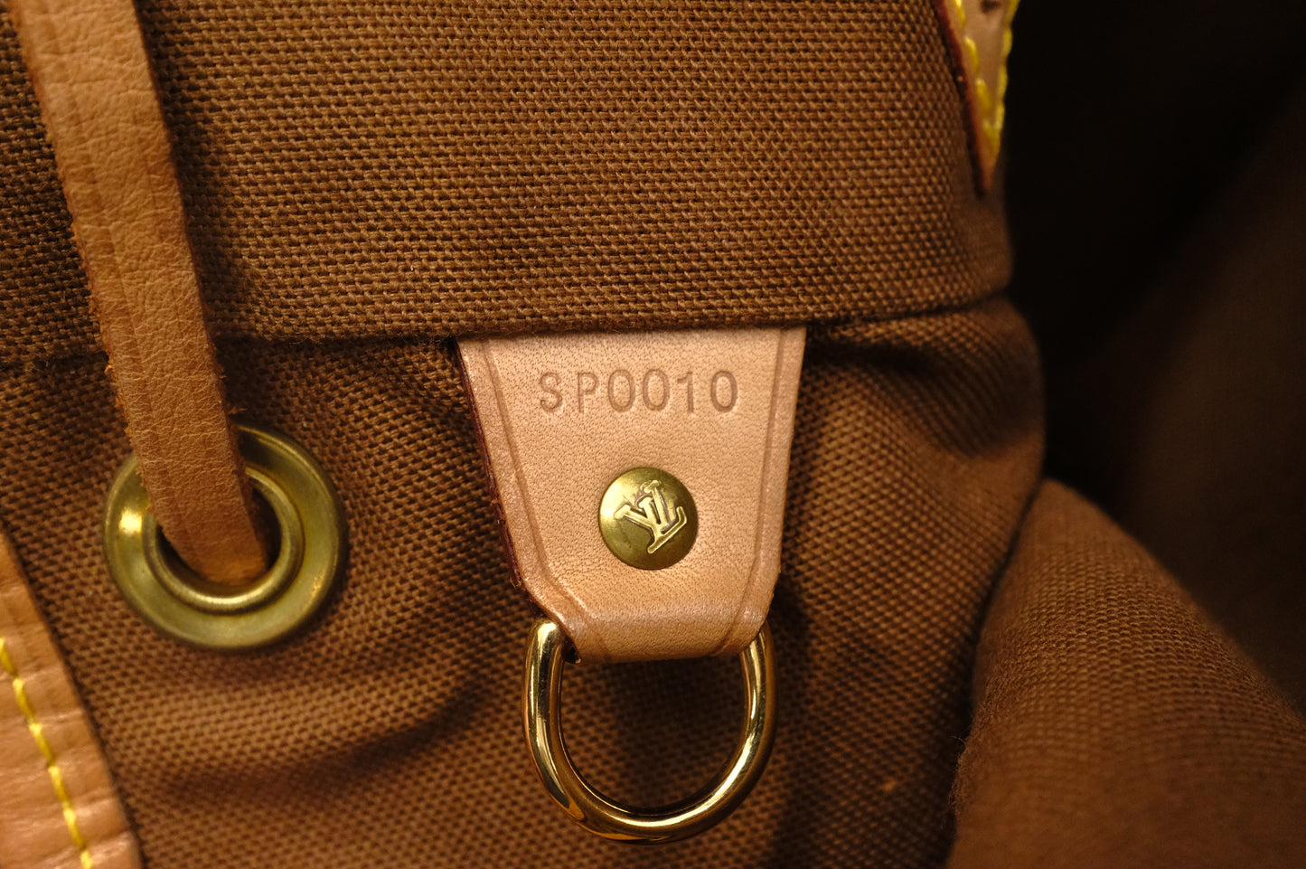 Louis Vuitton Montsouris MM in Monogram Canvas