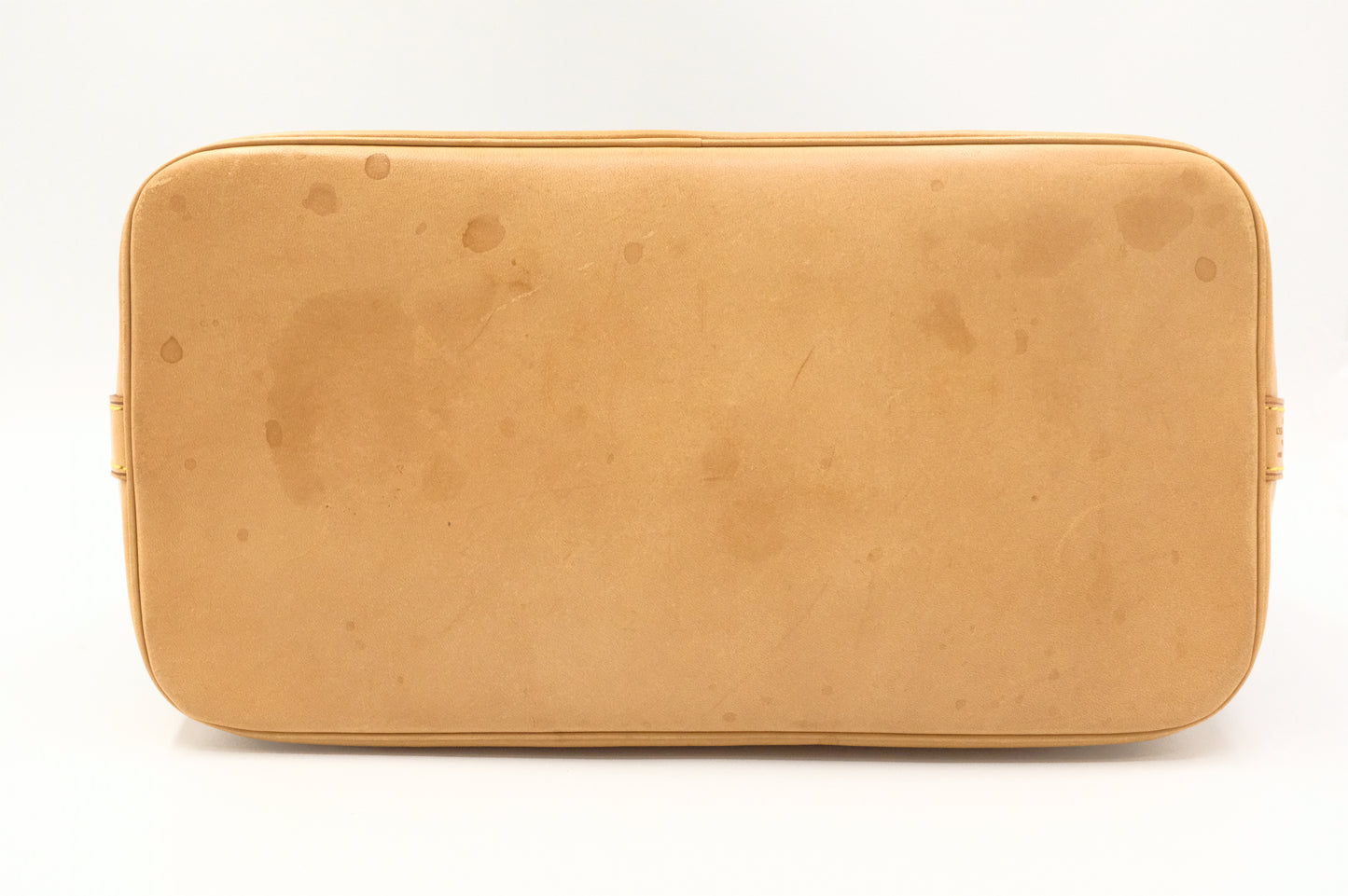 Louis Vuitton Alma PM in Monogram Canvas