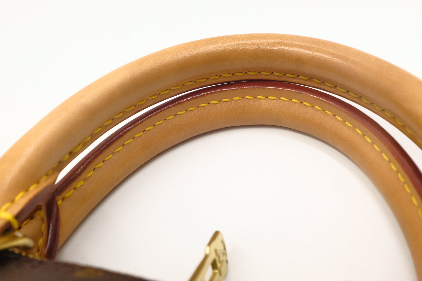 Louis Vuitton Alma PM in Monogram Canvas