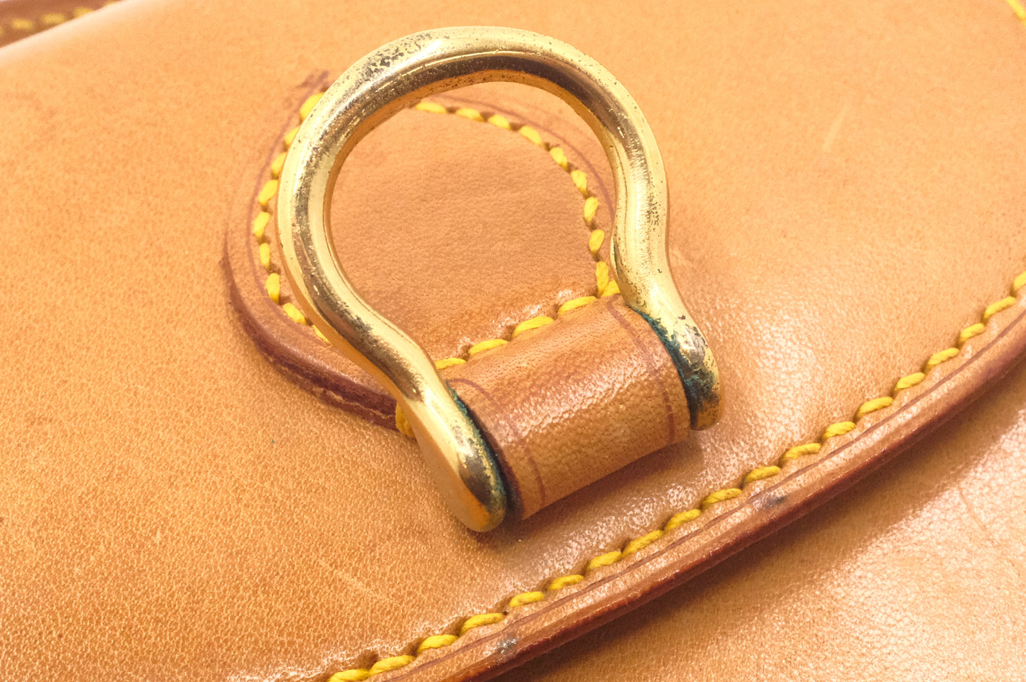 Louis Vuitton Mini Saint Cloud in Nomade Leather