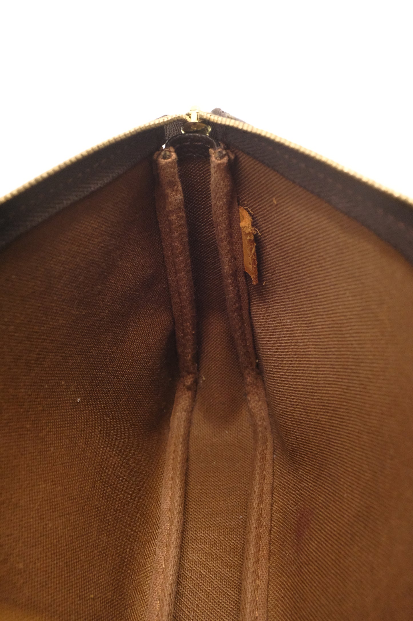 Louis Vuitton Pochette Accessoires in Monogram Canvas