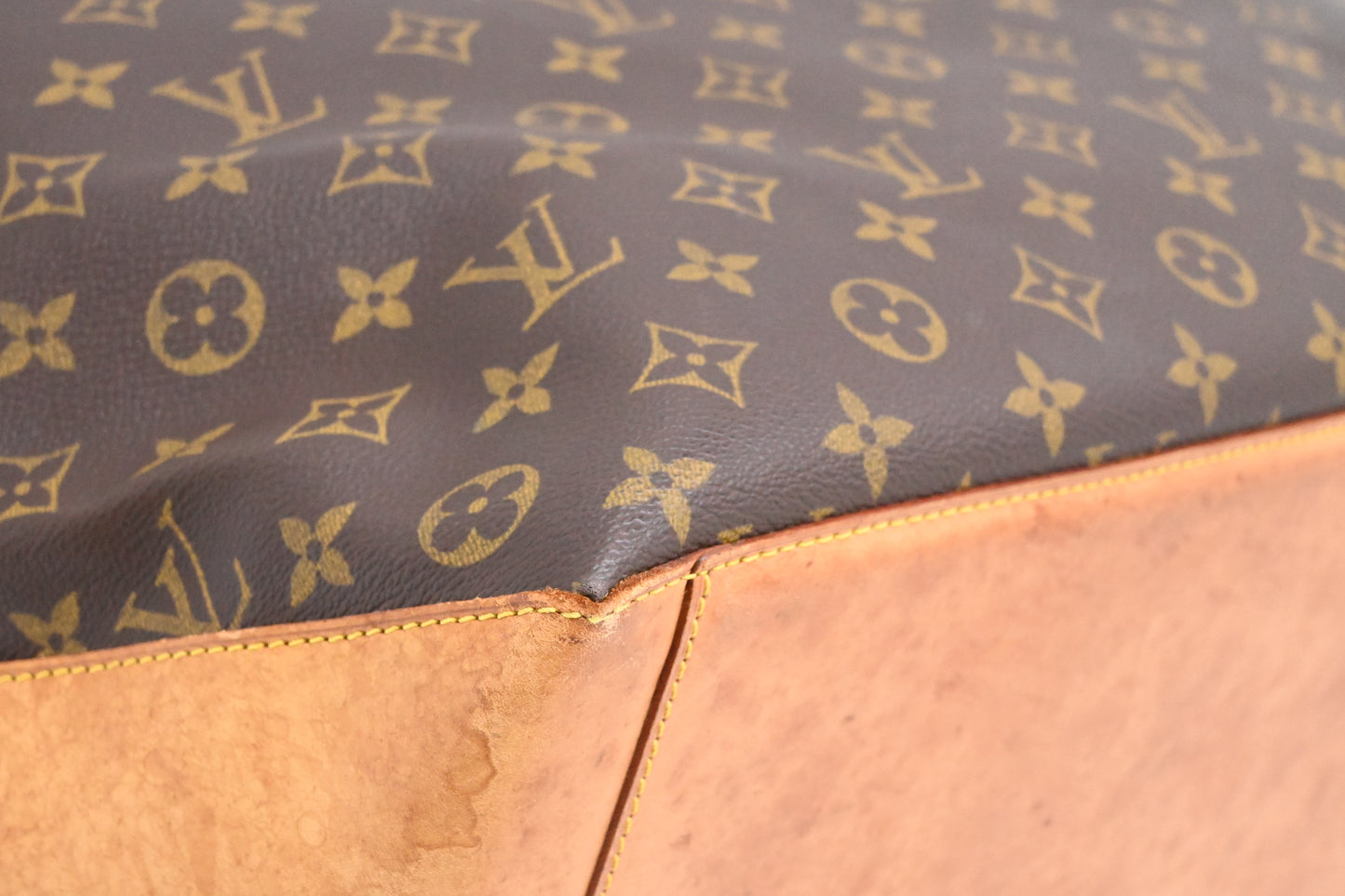 Louis Vuitton Cabas Alto in Monogram Canvas