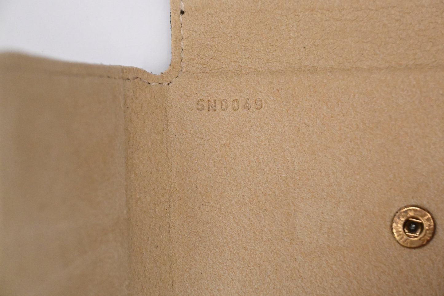 Louis Vuitton Jewelry Case in Mini Monogram Canvas