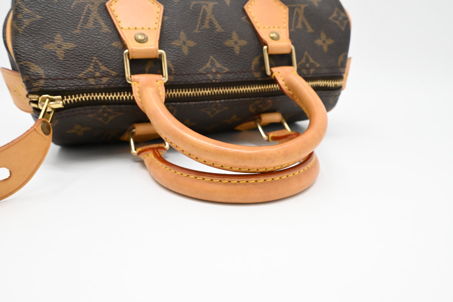 Louis Vuitton Speedy 25 in Monogram Canvas