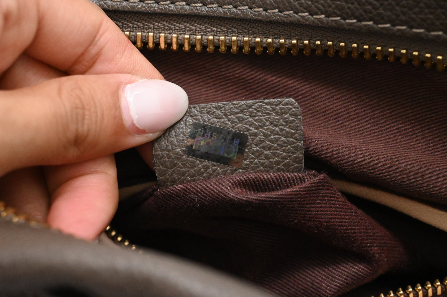 Chloe Small Paraty in Dark Brown Leather