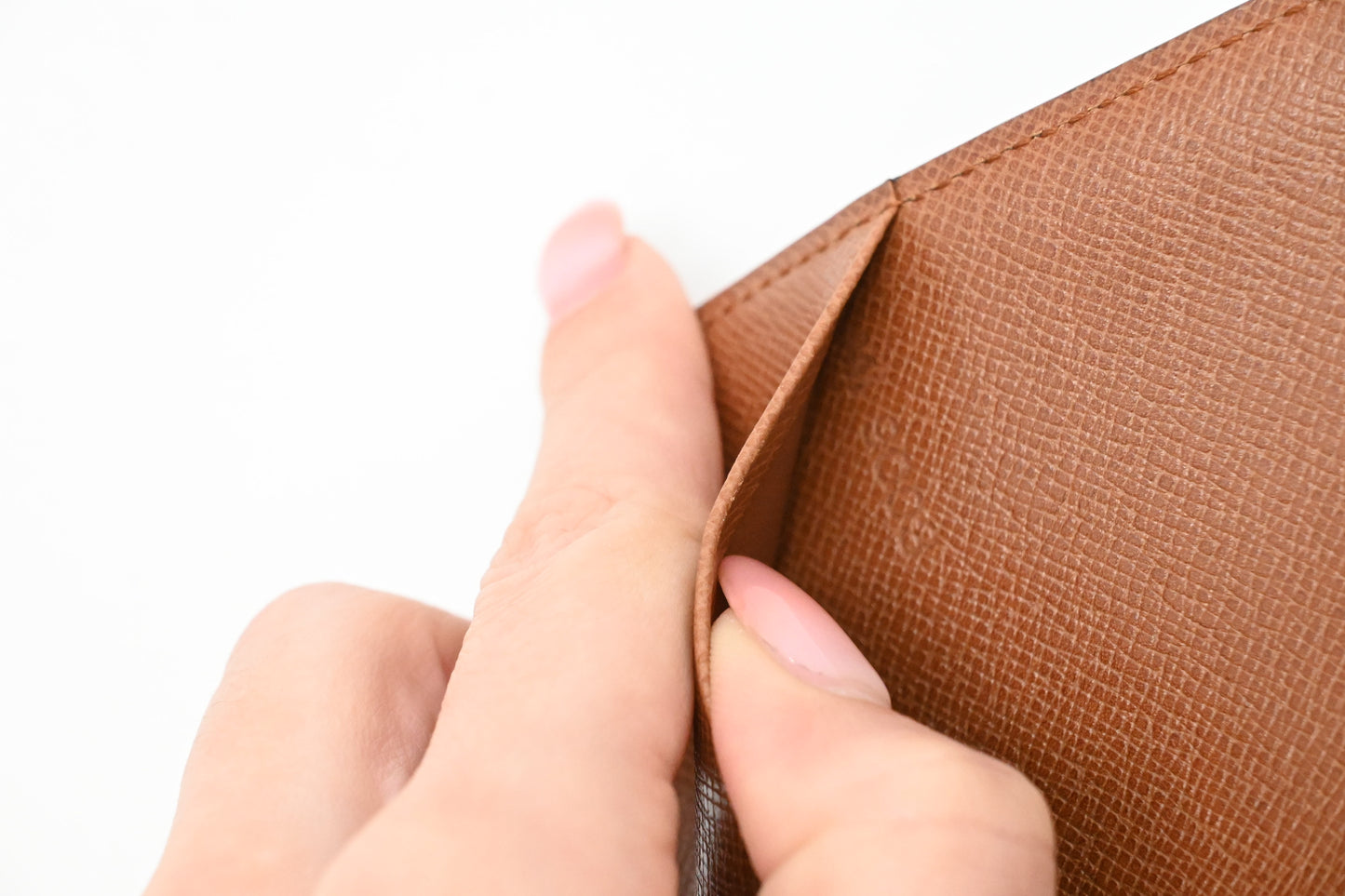 Louis Vuitton Passport Case in Monogram Canvas