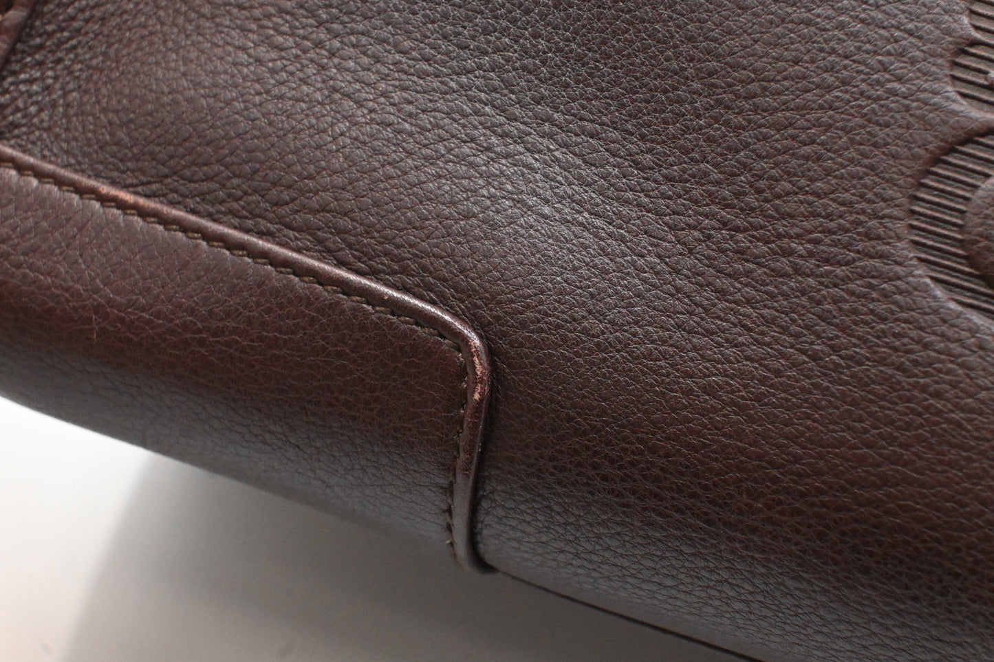 Loewe Amazona 29 in Brown Leather