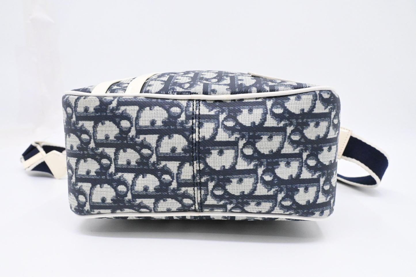 Dior Crossbody in Blue Trotter Coated Canvas