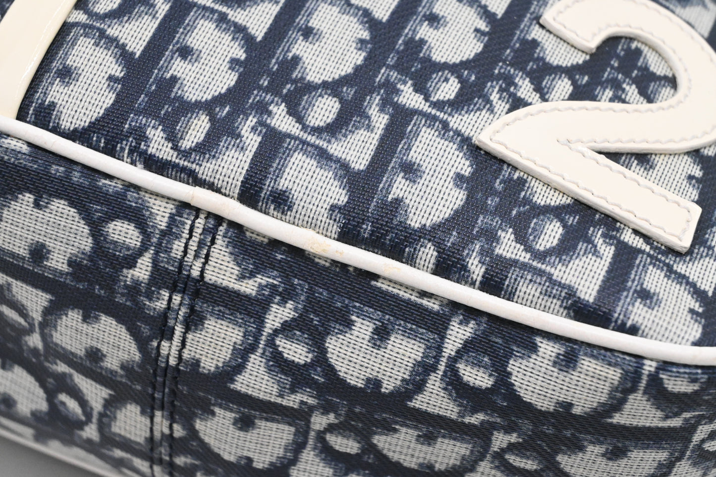 Dior Crossbody in Blue Trotter Coated Canvas