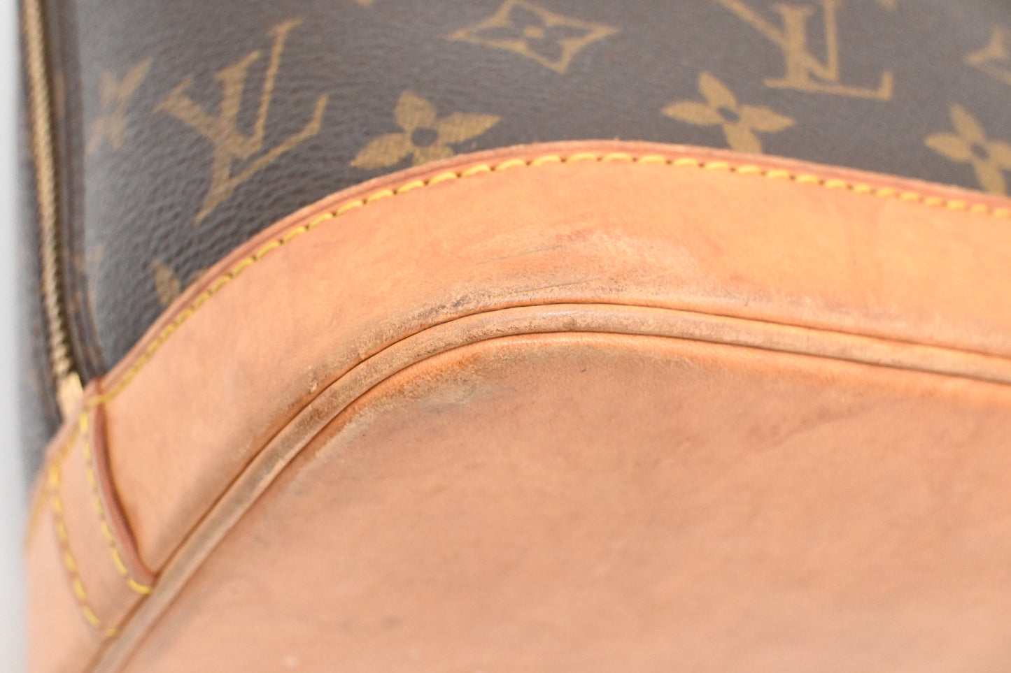 Louis Vuitton Alma PM in Monogram Canvas