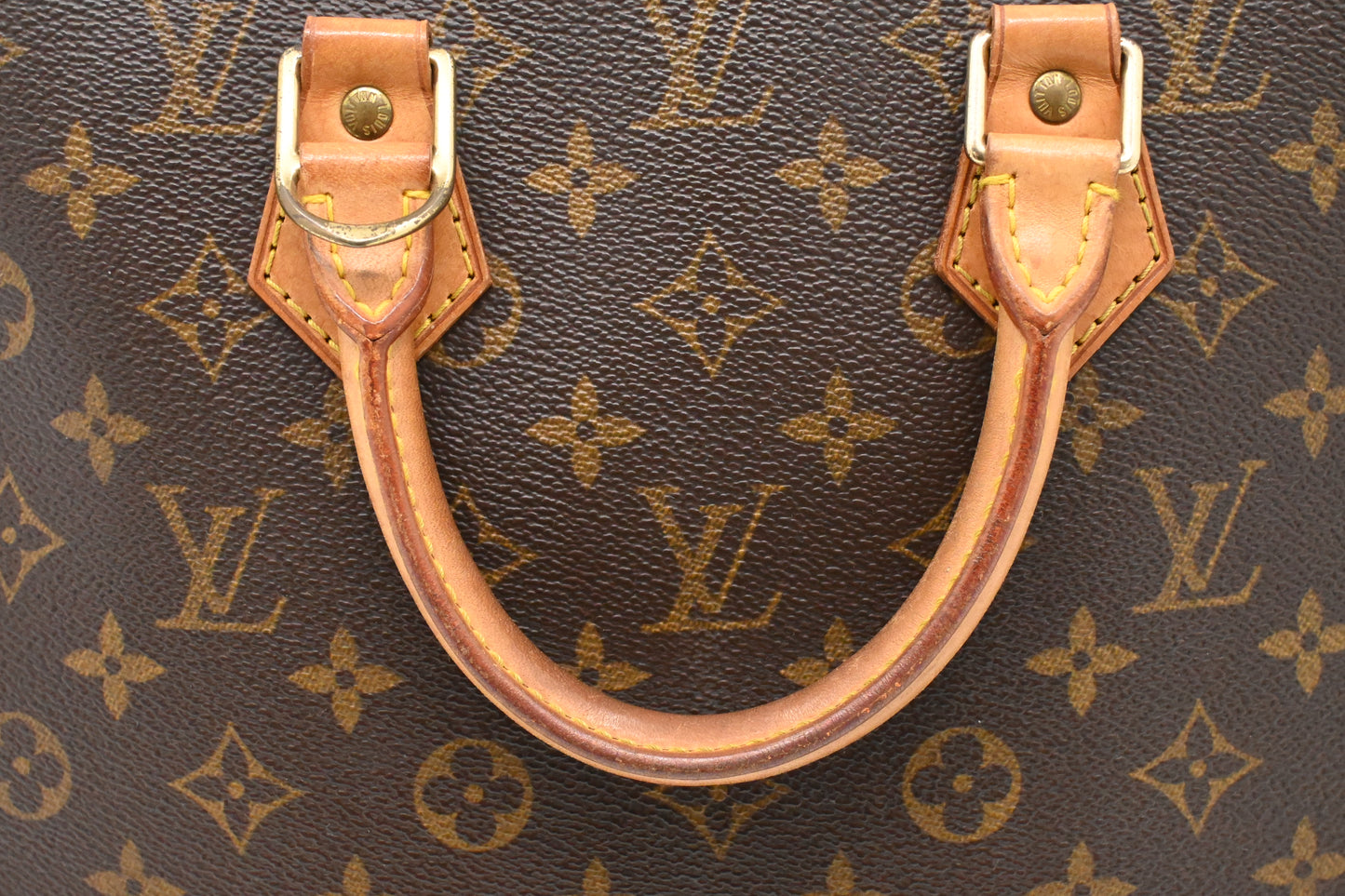Louis Vuitton Alma PM in Monogram Canvas