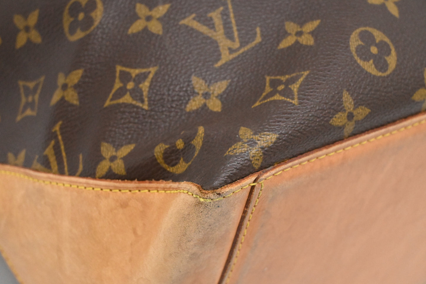 Louis Vuitton Cabas Alto in Monogram Canvas