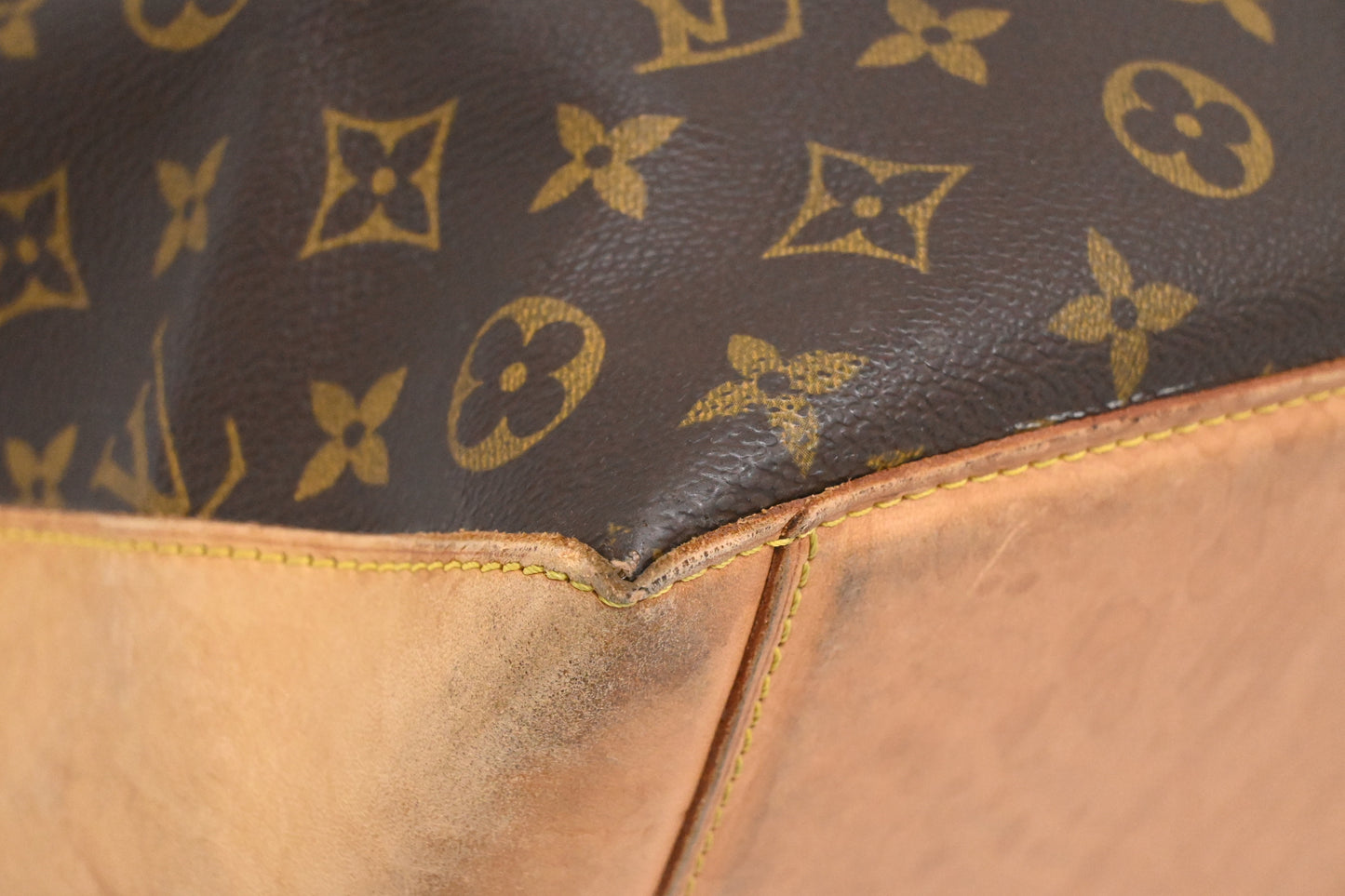 Louis Vuitton Cabas Alto in Monogram Canvas