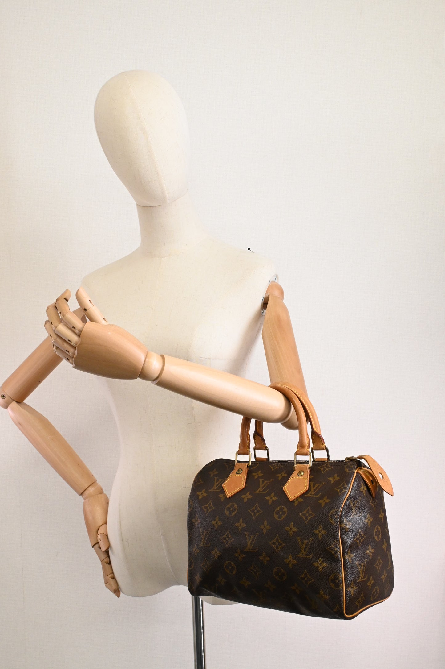 Louis Vuitton Speedy 25 in Monogram Canvas