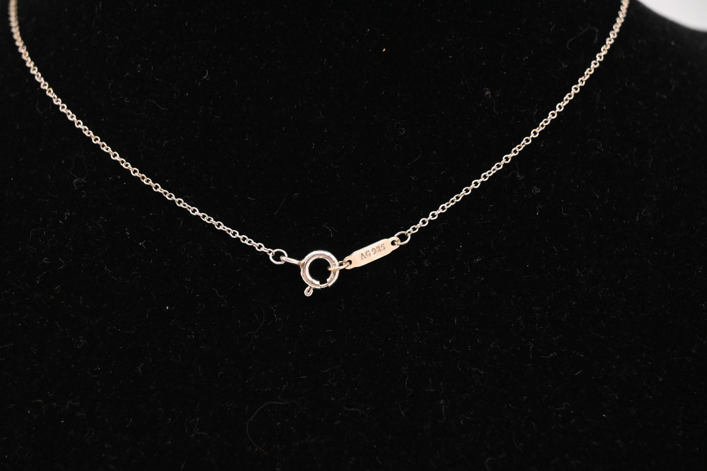 Tiffany & Co. Daisy Key Pendant Necklace in Sterling Silver