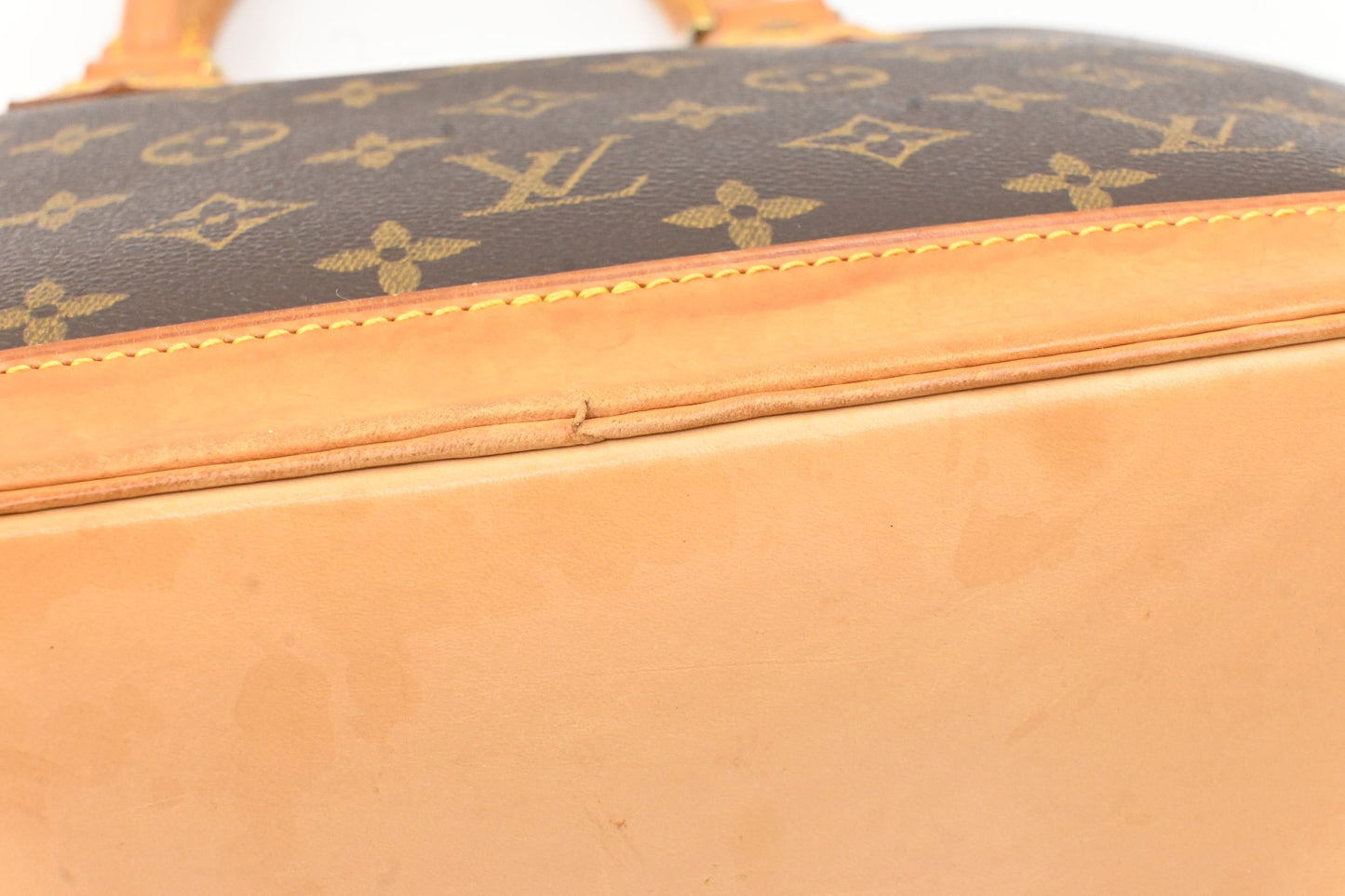 Louis Vuitton Alma PM in Monogram Canvas