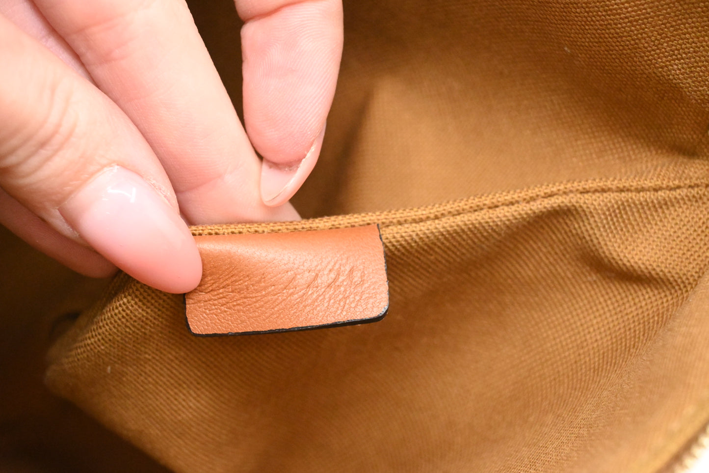 Celine Clutch in Triomphe Canvas