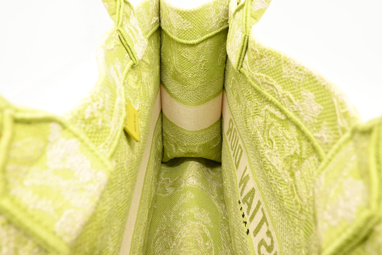 Dior Medium Book Tote in Green Toile de Jouy Sauvage Embroidery