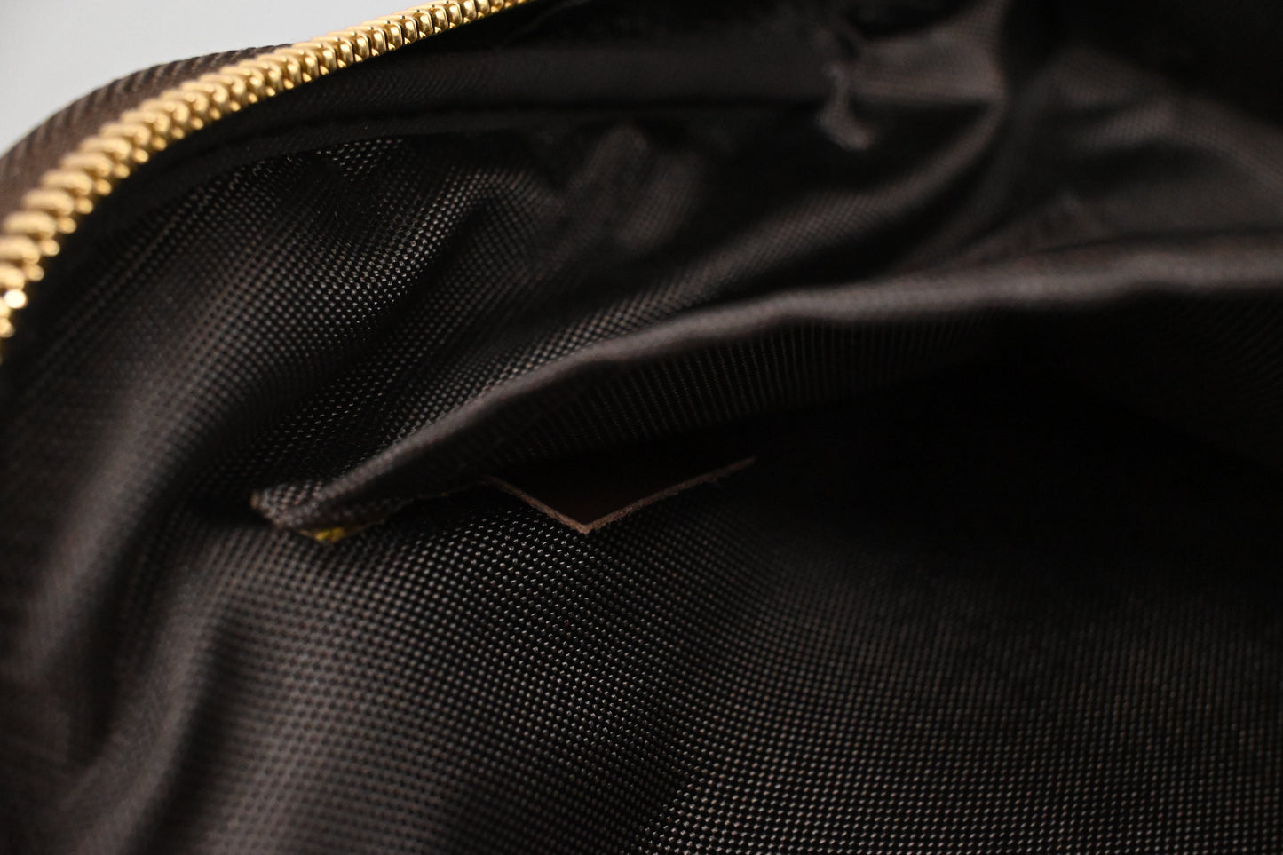 Louis Vuitton Pegase 55 in Damier Ebene Canvas