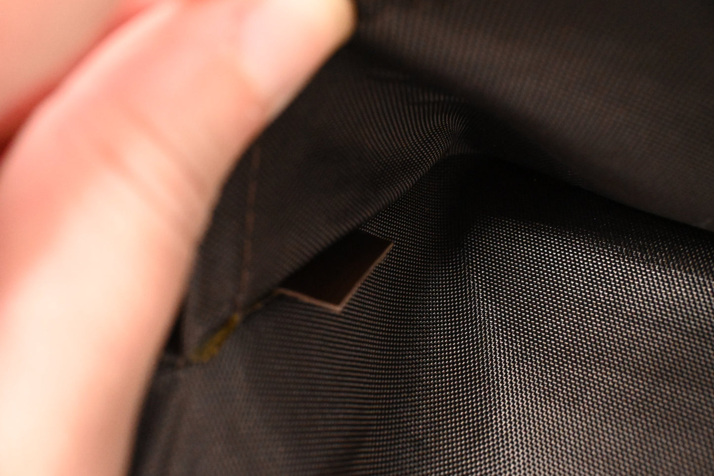 Louis Vuitton Pegase 55 in Damier Ebene Canvas