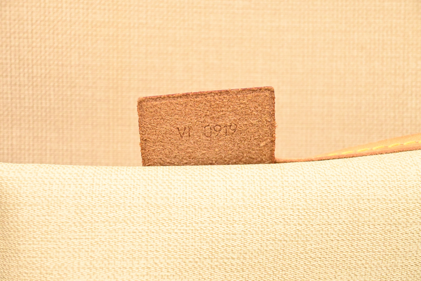 Louis Vuitton Excursion in Monogram Canvas