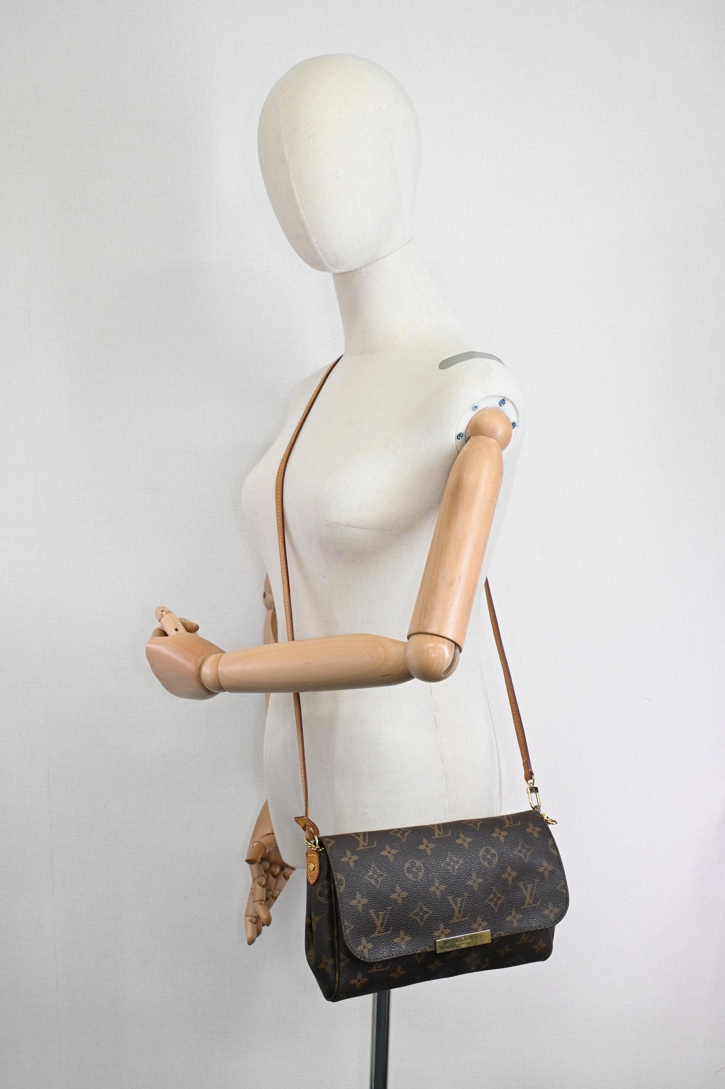 Louis Vuitton Favorite MM in Monogram Canvas