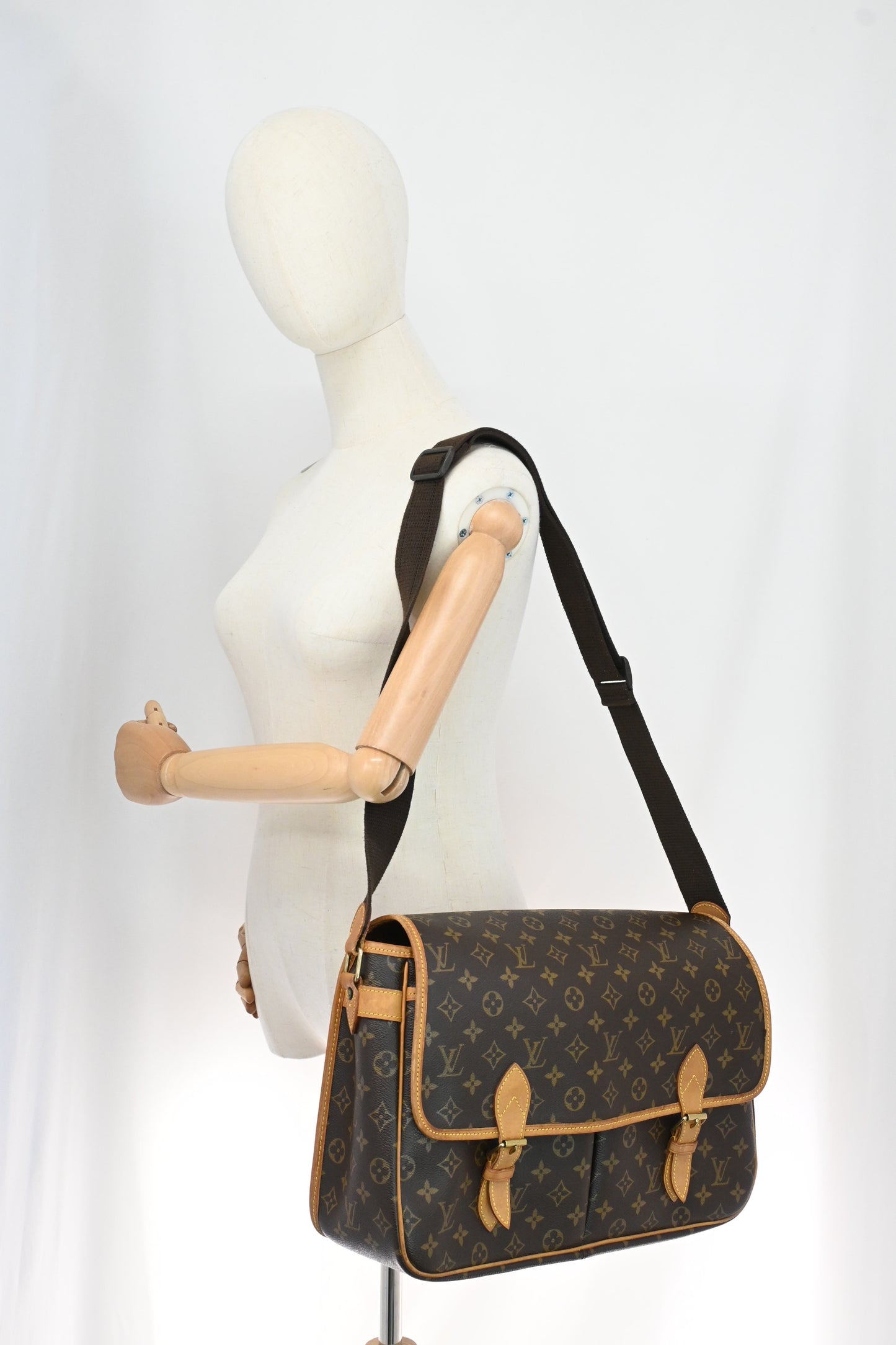Louis Vuitton Gibeciere in Monogram Canvas