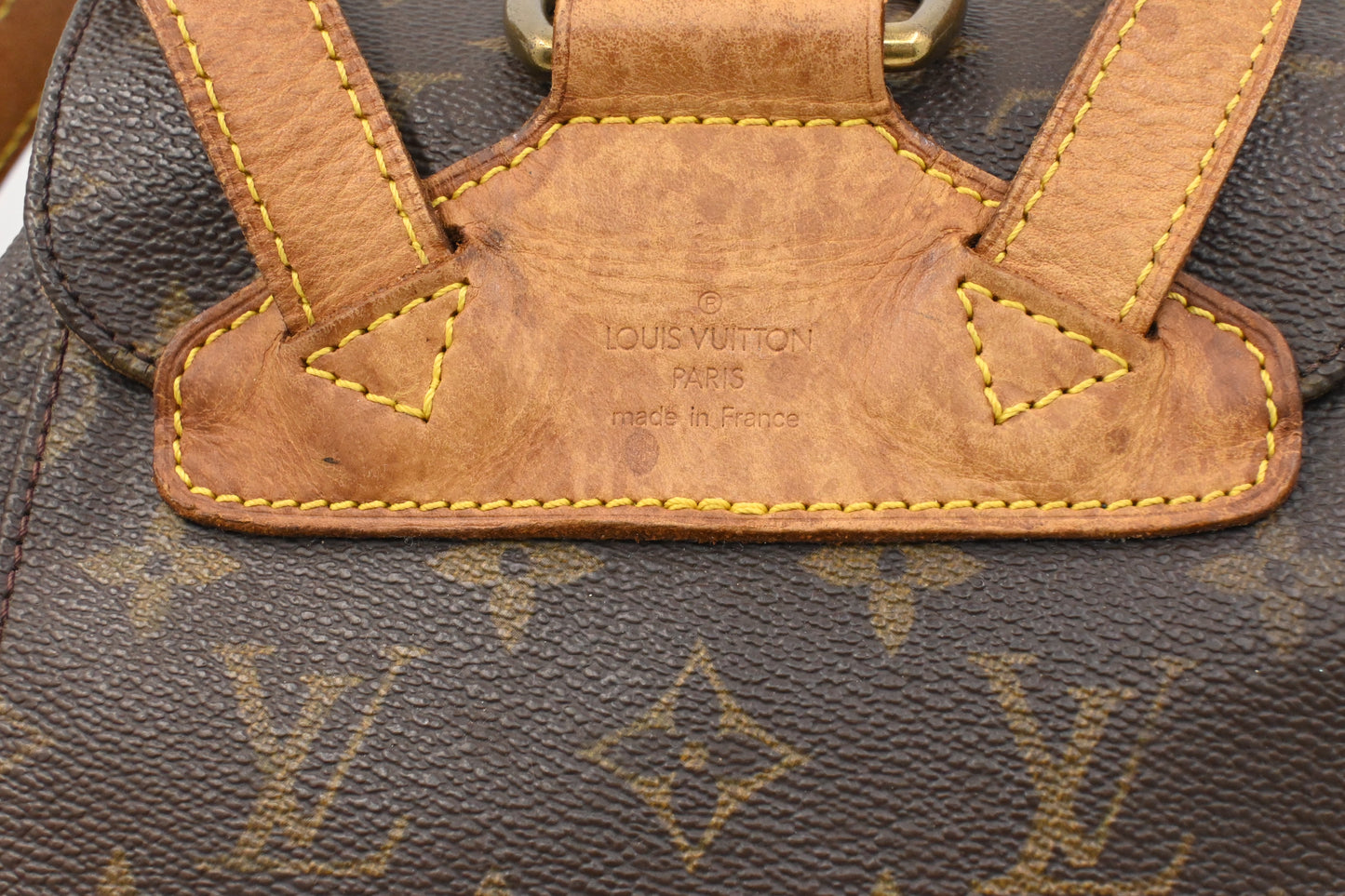 Louis Vuitton Montsouris PM in Monogram Canvas