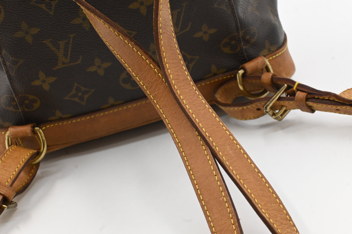 Louis Vuitton Montsouris PM in Monogram Canvas