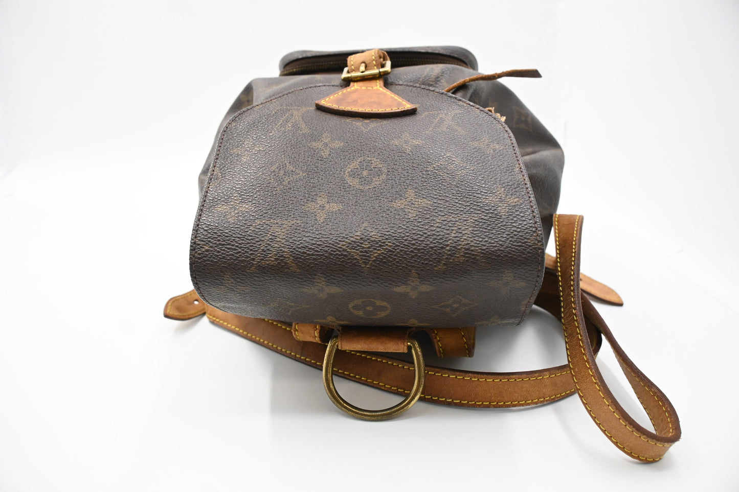Louis Vuitton Montsouris PM in Monogram Canvas