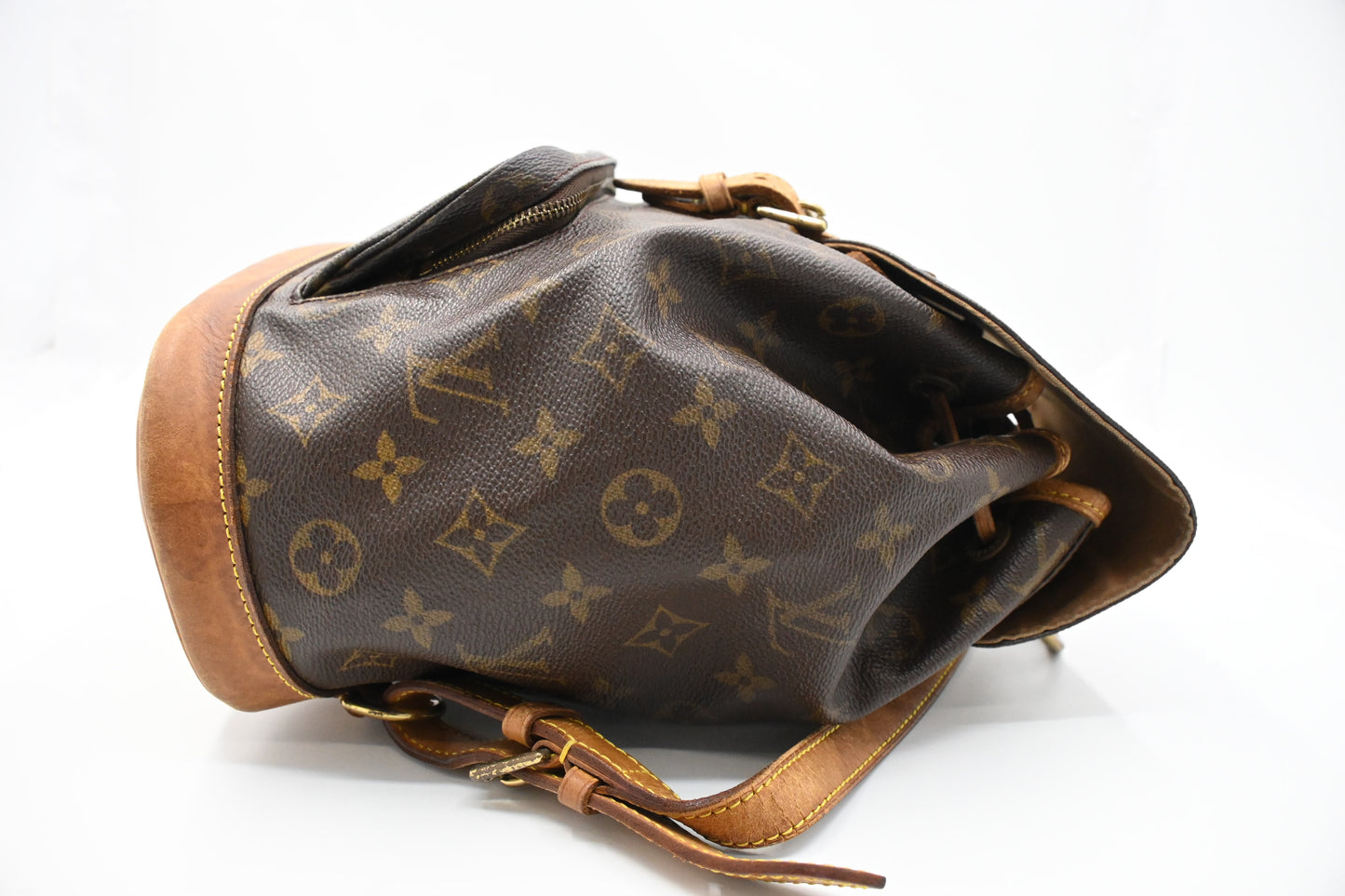 Louis Vuitton Montsouris PM in Monogram Canvas