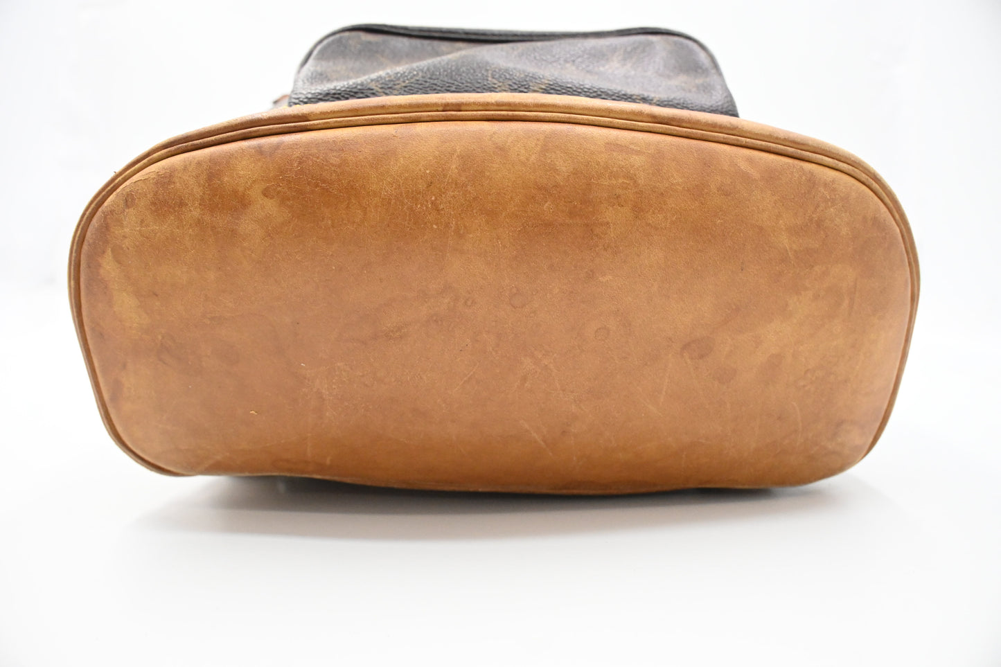 Louis Vuitton Montsouris PM in Monogram Canvas
