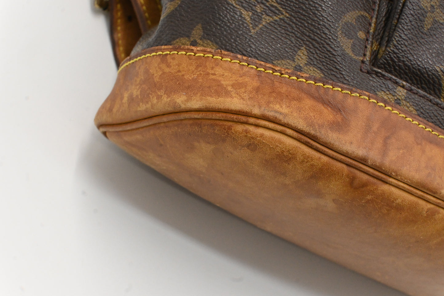 Louis Vuitton Montsouris PM in Monogram Canvas