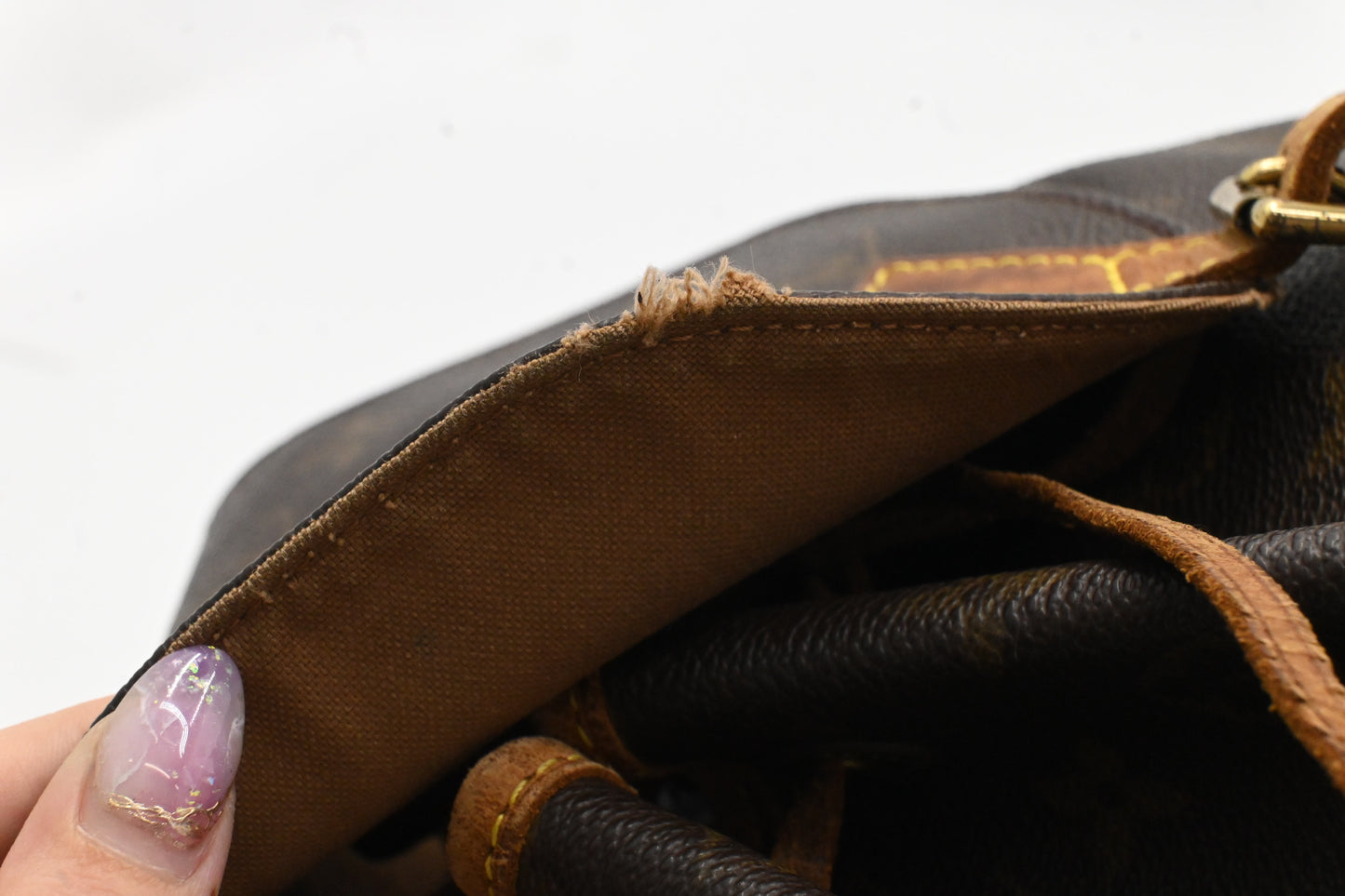 Louis Vuitton Montsouris PM in Monogram Canvas