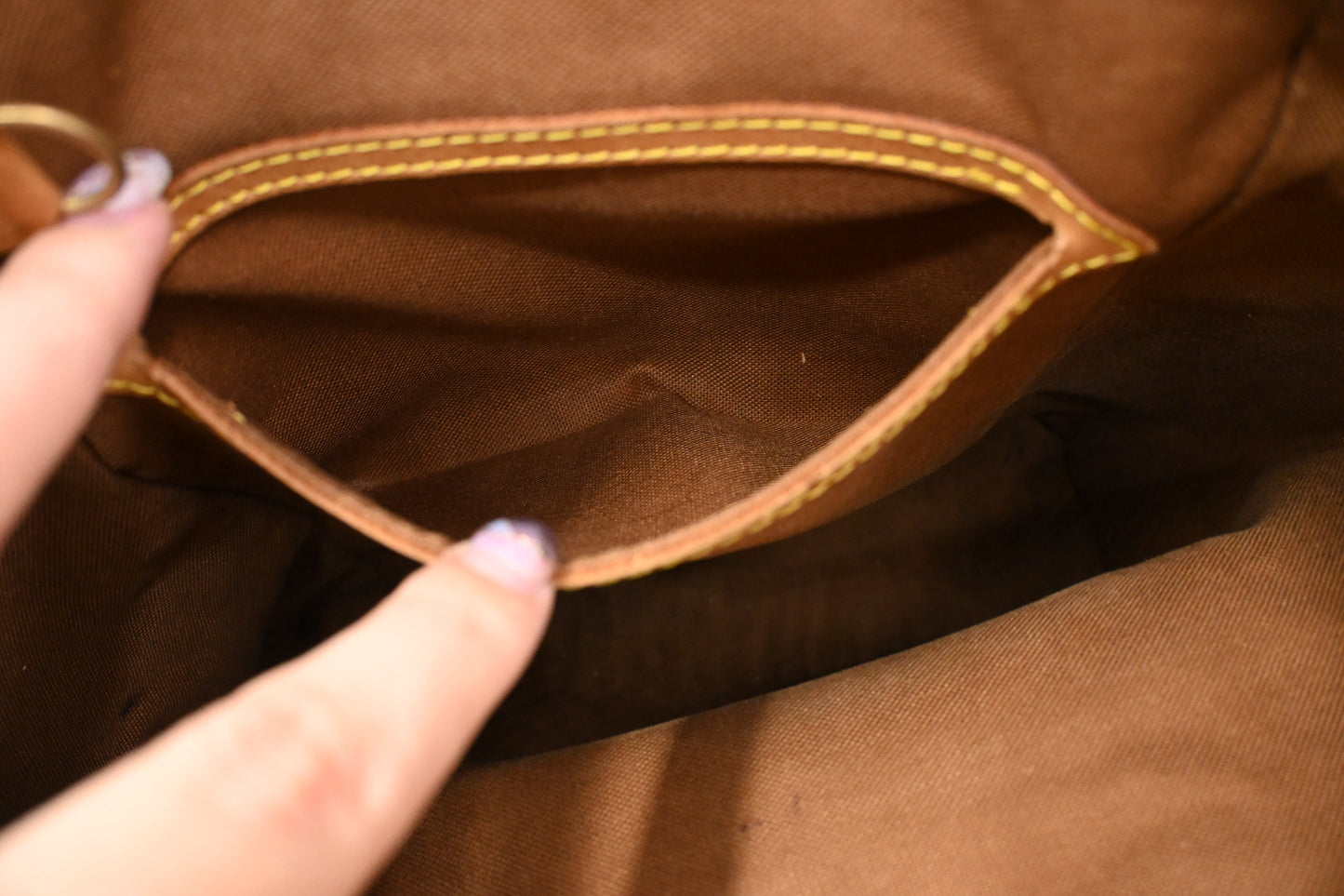 Louis Vuitton Montsouris PM in Monogram Canvas