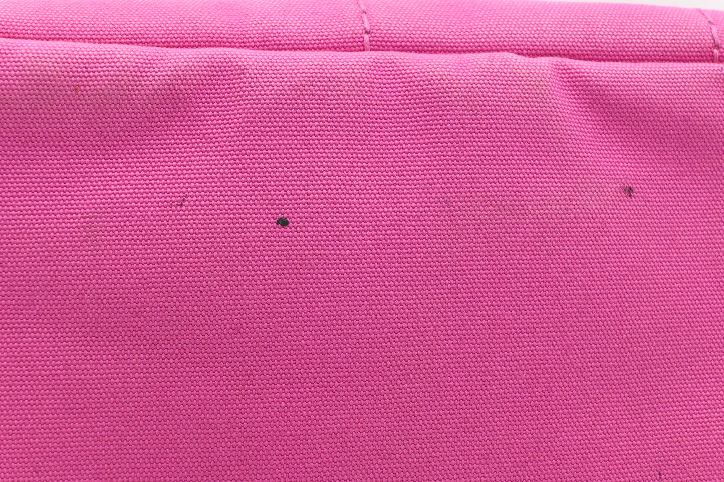 Prada Canapa in Pink Canvas