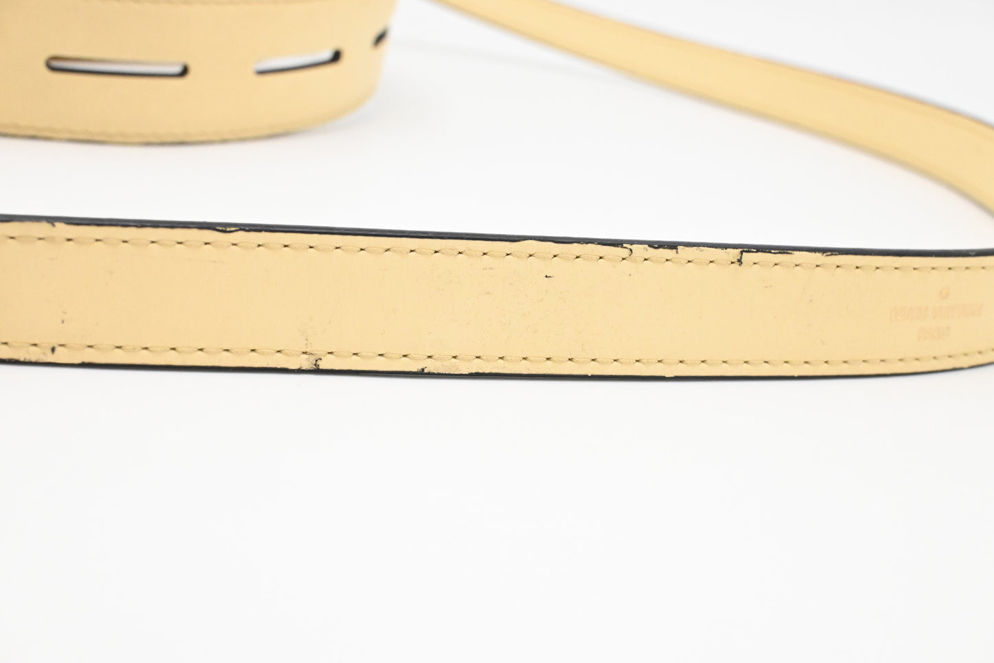 Louis Vuitton City Frame in Banane Taiga Leather