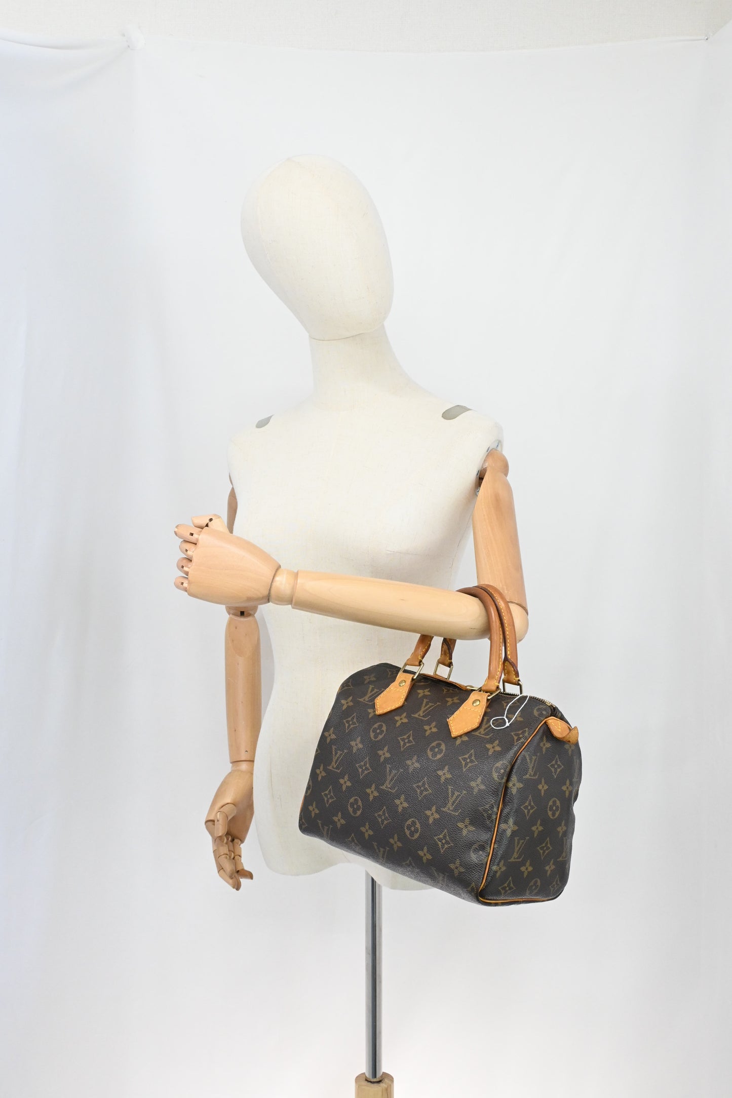 Louis Vuitton Speedy 25 in Monogram Canvas